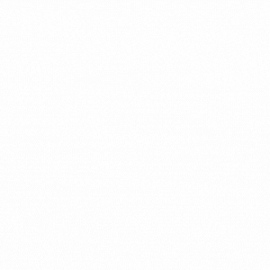 生活雑貨恒常バナー（特集2：10%）