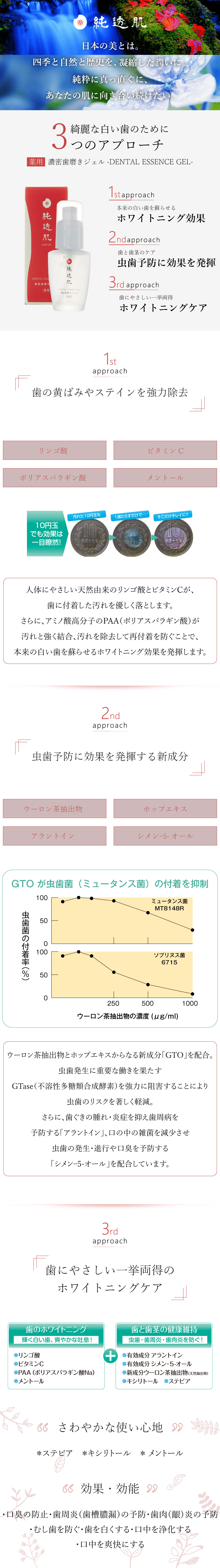 薬用 歯磨きジェル 商品説明